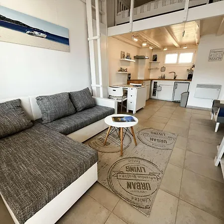 Renove 2 Pieces Climatise Avec Parking, Grand Balcon A Port - Fr-1-868-6